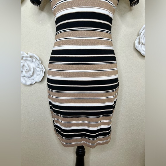 Tommy Hilfiger Black, White & Metallic Gold with Tan Striped Dress Size 2 - Picture 5 of 13